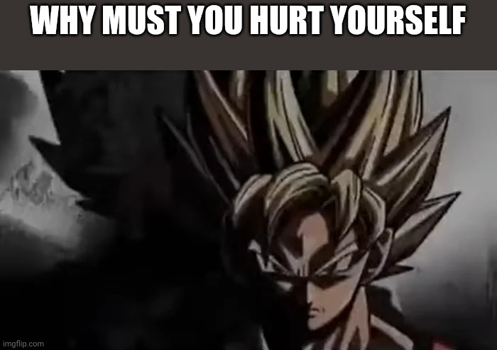 Goku Staring | WHY MUST YOU HURT YOURSELF | image tagged in goku staring | made w/ Imgflip meme maker