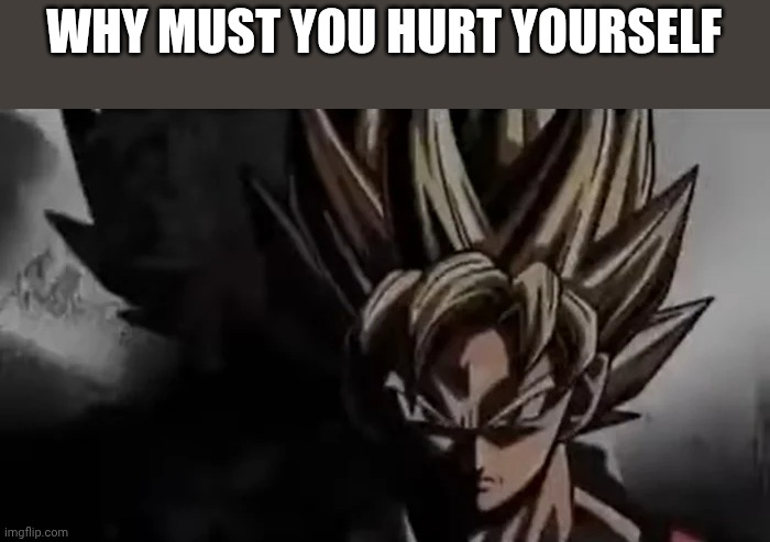 Goku Staring | WHY MUST YOU HURT YOURSELF | image tagged in goku staring | made w/ Imgflip meme maker
