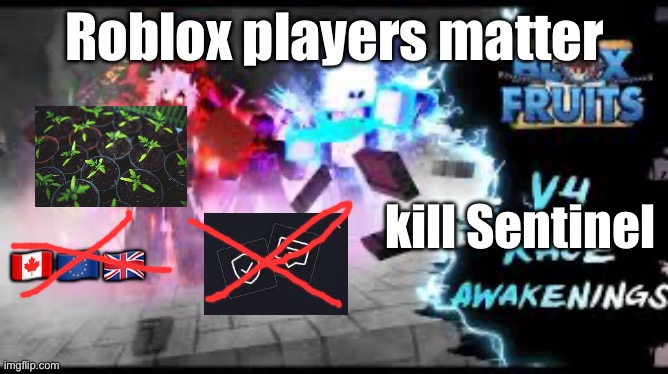 blox fruits | Roblox players matter; kill Sentinel; 🇨🇦🇪🇺🇬🇧 | image tagged in blox fruits | made w/ Imgflip meme maker