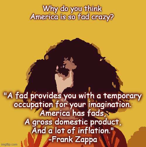 Fads | Why do you think America is so fad crazy? "A fad provides you with a temporary
occupation for your imagination.

America has fads,
A gross domestic product,
And a lot of inflation."
-Frank Zappa | image tagged in frank zappa | made w/ Imgflip meme maker
