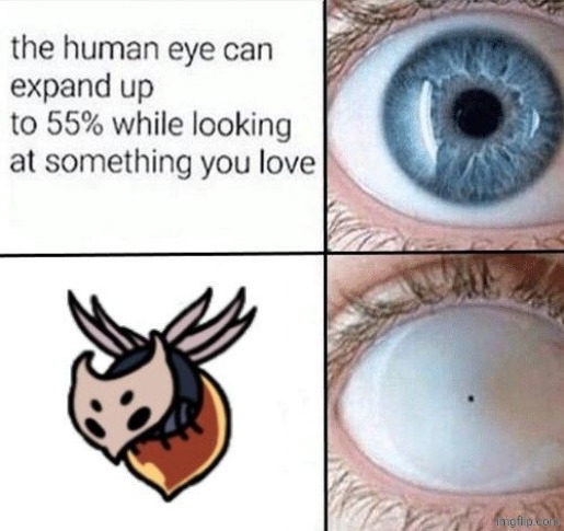 the human eye | image tagged in the human eye | made w/ Imgflip meme maker