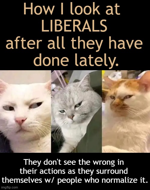 It is Not OK... | How I look at  
LIBERALS 
after all they have 
done lately. They don't see the wrong in 
their actions as they surround 
themselves w/ people who normalize it. | image tagged in waste,fraud,abuse,open borders,americans last,government corruption | made w/ Imgflip meme maker