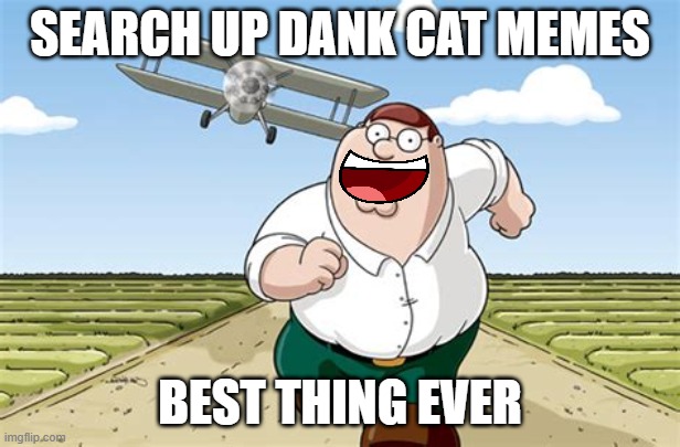 Worst mistake of my life | SEARCH UP DANK CAT MEMES; BEST THING EVER | image tagged in worst mistake of my life | made w/ Imgflip meme maker