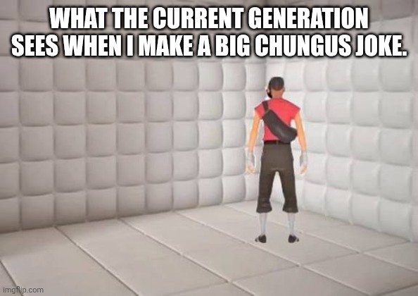:( | WHAT THE CURRENT GENERATION SEES WHEN I MAKE A BIG CHUNGUS JOKE. | image tagged in scout laughing in the corner | made w/ Imgflip meme maker