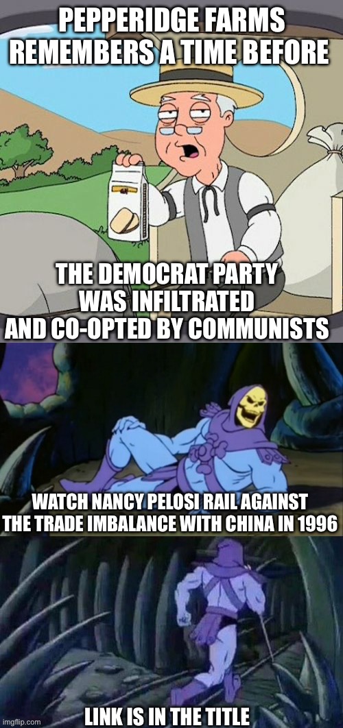 https://x.com/LightOnLiberty/status/2025299238003831047 | PEPPERIDGE FARMS REMEMBERS A TIME BEFORE; THE DEMOCRAT PARTY WAS INFILTRATED AND CO-OPTED BY COMMUNISTS; WATCH NANCY PELOSI RAIL AGAINST THE TRADE IMBALANCE WITH CHINA IN 1996; LINK IS IN THE TITLE | image tagged in pepperidge farm remembers,skeletor disturbing facts,democrats,china trade,communist | made w/ Imgflip meme maker