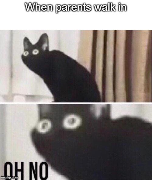 Oh no cat | When parents walk in | image tagged in oh no cat | made w/ Imgflip meme maker