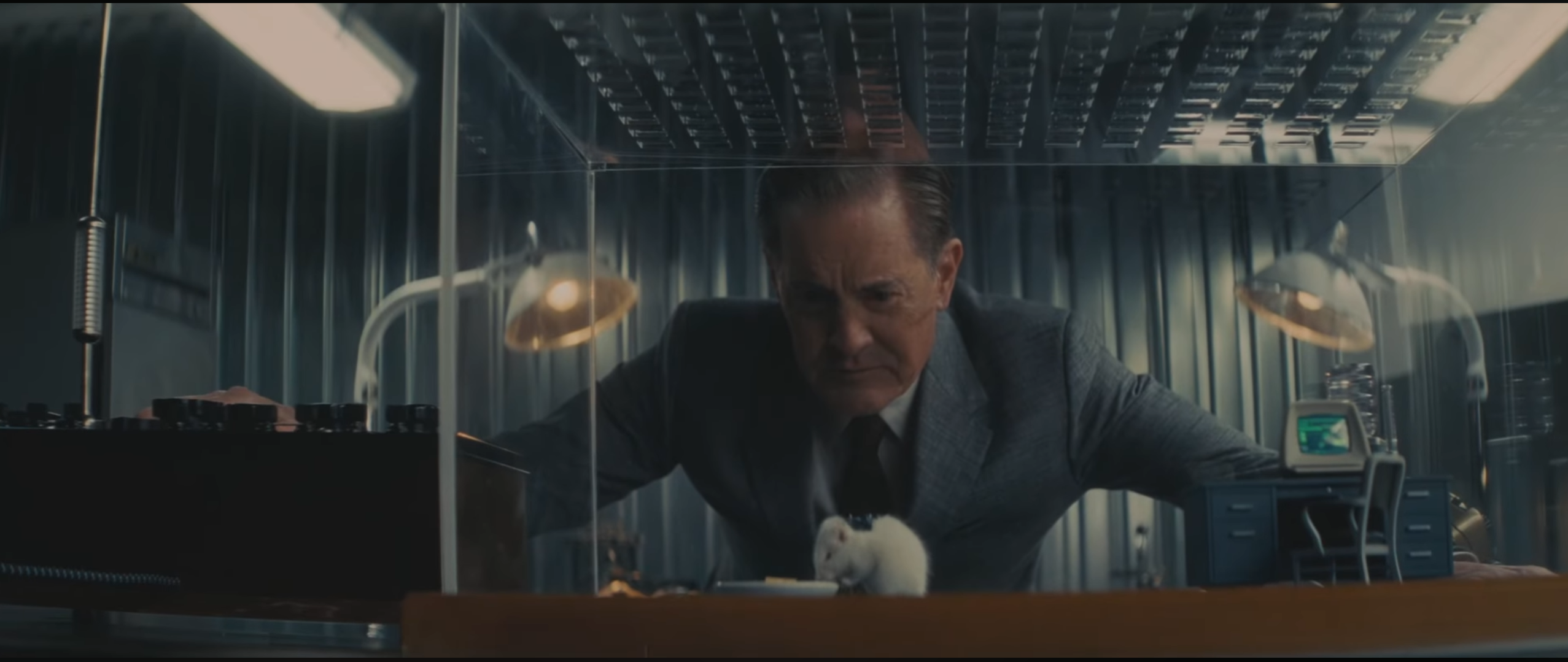 Fallout mouse experiment Blank Meme Template