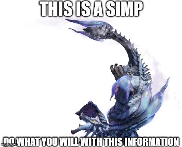 THIS IS A SIMP; DO WHAT YOU WILL WITH THIS INFORMATION | image tagged in monster hunter | made w/ Imgflip meme maker
