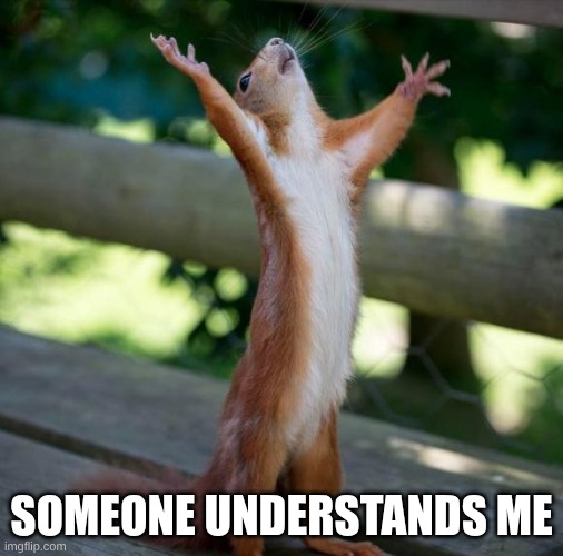finally | SOMEONE UNDERSTANDS ME | image tagged in finally | made w/ Imgflip meme maker
