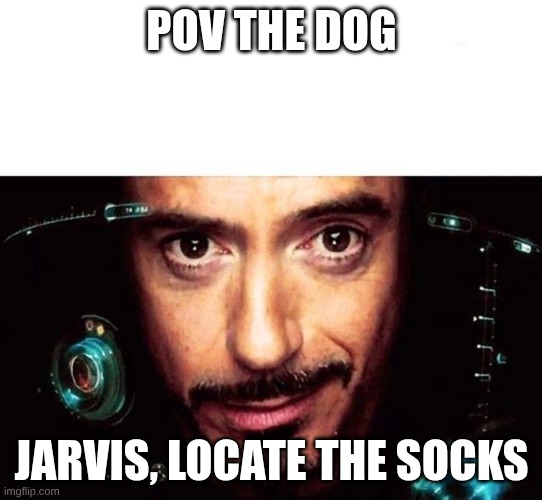 Jarvis Template | POV THE DOG JARVIS, LOCATE THE SOCKS | image tagged in jarvis template | made w/ Imgflip meme maker