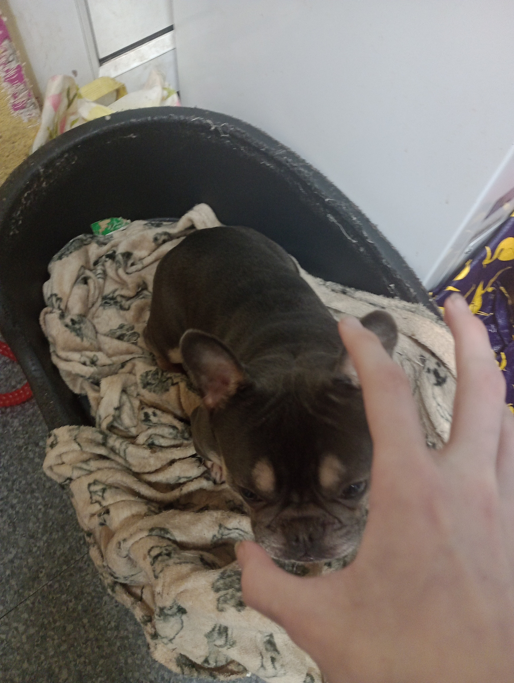 Grab Blank Meme Template