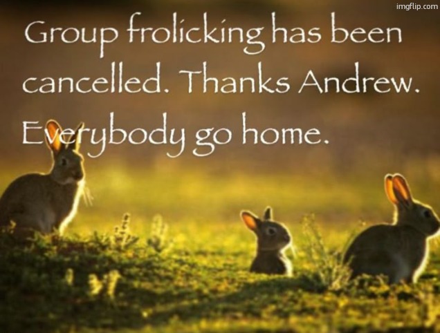 Group frolicking has been cancelled. Thanks Andrew. | image tagged in group frolicking has been cancelled thanks andrew | made w/ Imgflip meme maker