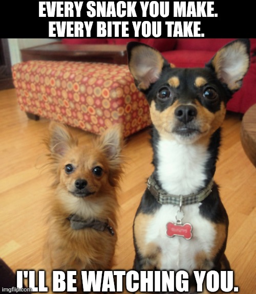 Every Snack You Make Every Bite You Take | EVERY SNACK YOU MAKE.
EVERY BITE YOU TAKE. I'LL BE WATCHING YOU. | image tagged in chrisjoines1 | made w/ Imgflip meme maker