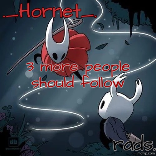 Hornet and Radium temp | 3 more people should follow | image tagged in hornet and radium temp | made w/ Imgflip meme maker