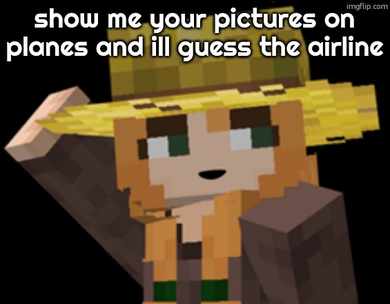 minecraft female farmer villager | show me your pictures on planes and ill guess the airline | image tagged in minecraft female farmer villager | made w/ Imgflip meme maker
