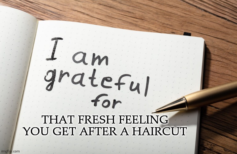 . | THAT FRESH FEELING YOU GET AFTER A HAIRCUT | image tagged in i am grateful for | made w/ Imgflip meme maker