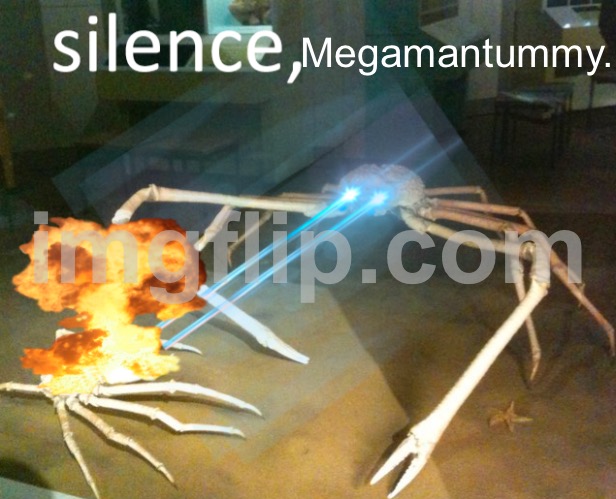 Silence Crab | Megamantummy. | image tagged in silence crab | made w/ Imgflip meme maker
