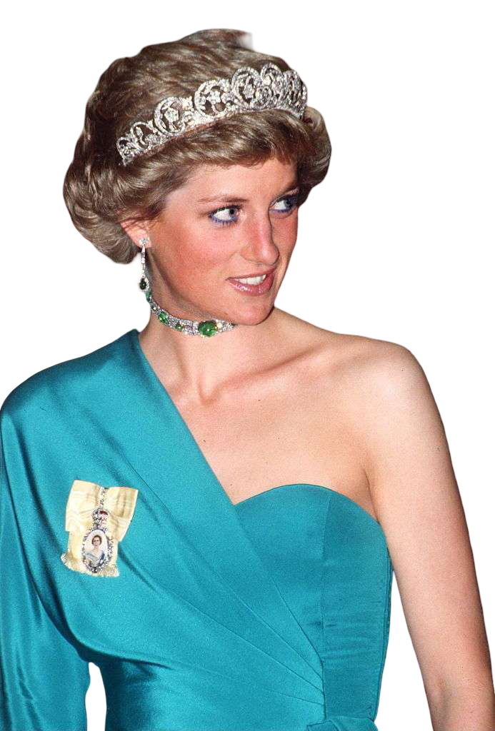 Princess Diana Blank Meme Template