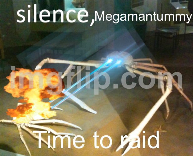 Time to raid your drug stash | Megamantummy; Time to raid | image tagged in silence crab | made w/ Imgflip meme maker