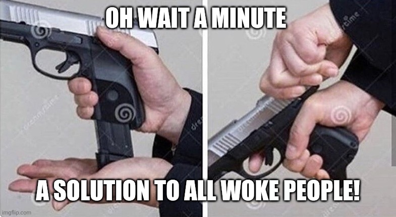 Loading gun | OH WAIT A MINUTE A SOLUTION TO ALL WOKE PEOPLE! | image tagged in loading gun | made w/ Imgflip meme maker