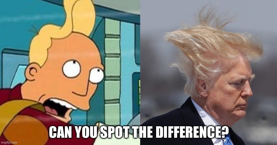 Hairy situation | CAN YOU SPOT THE DIFFERENCE? | image tagged in zapp brannigan,donald trump,zapp,trump,futurama,hair | made w/ Imgflip meme maker
