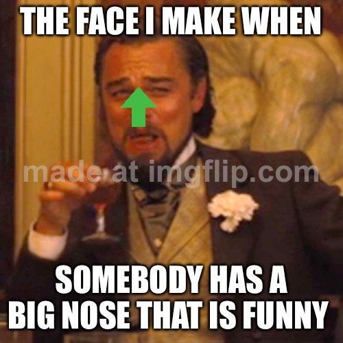 Upvote if u have a big nose or a small nose or a nose | THE FACE I MAKE WHEN; SOMEBODY HAS A BIG NOSE THAT IS FUNNY | image tagged in memes,laughing leo | made w/ Imgflip meme maker