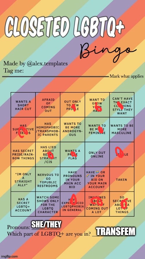Wow bingo's are cool | SHE/THEY; TRANSFEM | image tagged in closeted lgbtq bingo | made w/ Imgflip meme maker