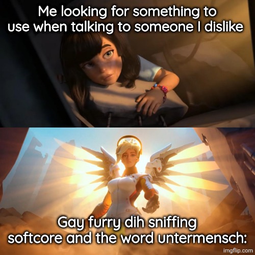 Overwatch Mercy Meme | Me looking for something to use when talking to someone I dislike; Gay furry dih sniffing softcore and the word untermensch: | image tagged in overwatch mercy meme | made w/ Imgflip meme maker