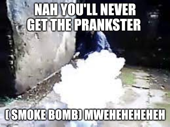 ninja smoke bomb | NAH YOU'LL NEVER GET THE PRANKSTER ( SMOKE BOMB) MWEHEHEHEHEH | image tagged in ninja smoke bomb | made w/ Imgflip meme maker