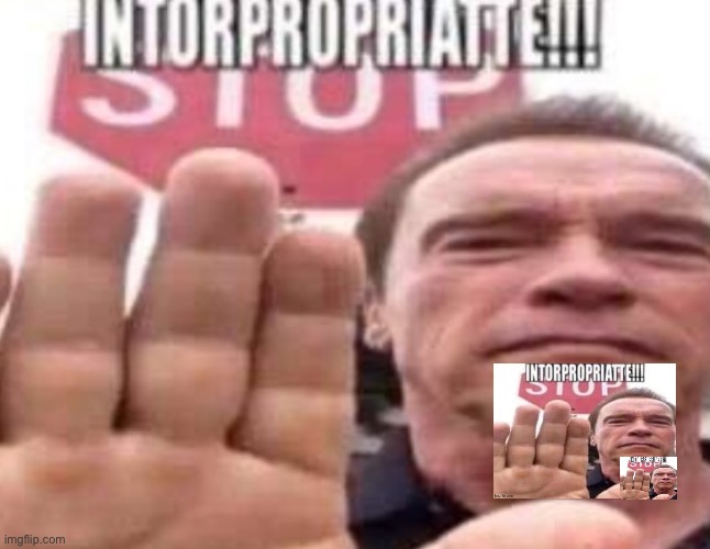 Intorpropriatte | image tagged in intorpropriatte | made w/ Imgflip meme maker