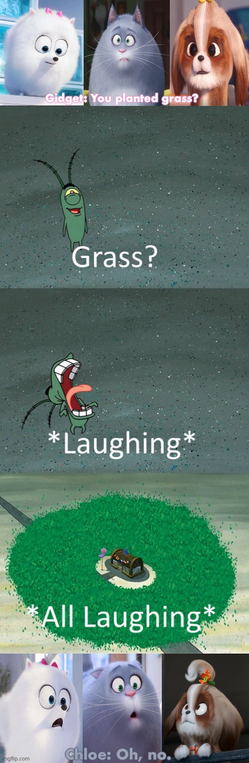 Gidget, Chloe and Daisy Asked If Plankton Planted Grass | Gidget: You planted grass? Chloe: Oh, no. | image tagged in crossover,memes,spongebob,nickelodeon,illumination,the secret life of pets | made w/ Imgflip meme maker