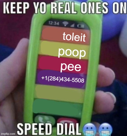 dont look up the last one | toleit; poop; pee; +1(284)434-5508 | image tagged in keep yo real ones on speed dial | made w/ Imgflip meme maker