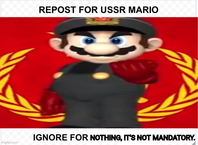 USSR Mario | NOTHING, IT'S NOT MANDATORY. | image tagged in ussr mario | made w/ Imgflip meme maker