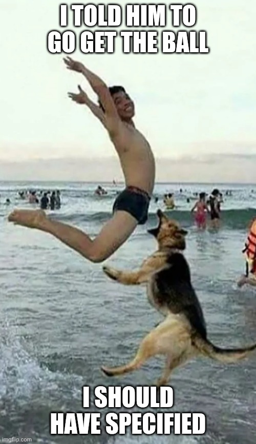 Should have specified | I TOLD HIM TO GO GET THE BALL; I SHOULD HAVE SPECIFIED | image tagged in dog bite dick,funny memes,ouch | made w/ Imgflip meme maker