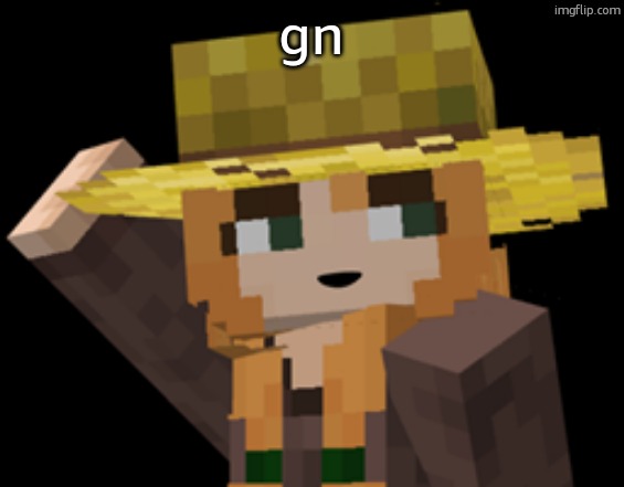 minecraft female farmer villager | gn | image tagged in minecraft female farmer villager | made w/ Imgflip meme maker
