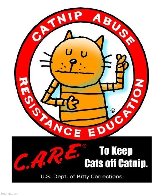 Gn chst | made w/ Imgflip meme maker