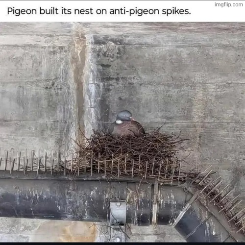 Aura | image tagged in memes,msmg | made w/ Imgflip meme maker