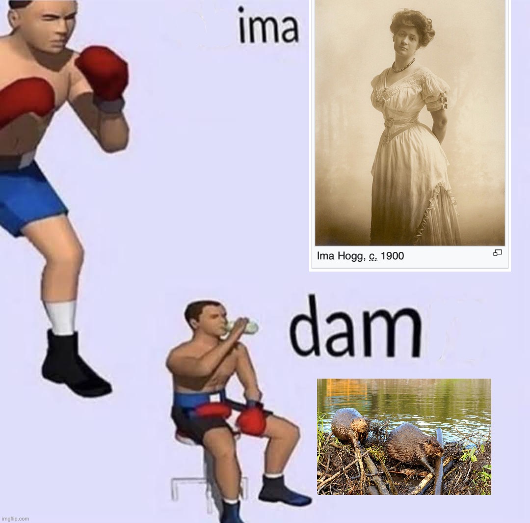 Imma fight this | image tagged in imma fight this | made w/ Imgflip meme maker