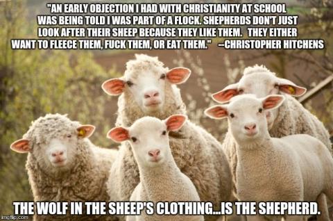 High Quality sheep Blank Meme Template