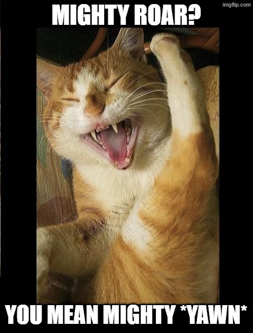 Laughing Cat | MIGHTY ROAR? YOU MEAN MIGHTY *YAWN* | image tagged in laughing cat | made w/ Imgflip meme maker