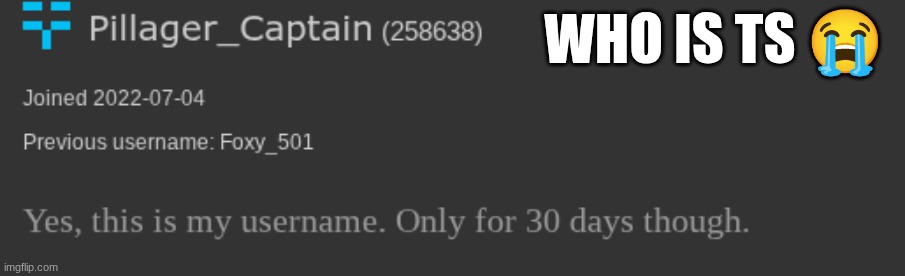 WHO IS TS 😭 | made w/ Imgflip meme maker