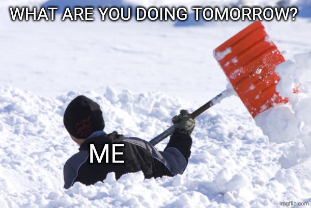 Complete Suck | WHAT ARE YOU DOING TOMORROW? ME | image tagged in blizzard,snow,winter storm | made w/ Imgflip meme maker