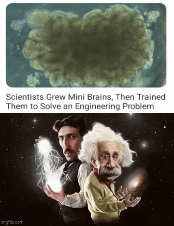 Mini brains - Imgflip