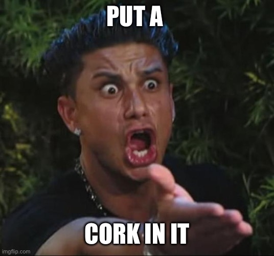DJ Pauly D Meme | PUT A CORK IN IT | image tagged in memes,dj pauly d | made w/ Imgflip meme maker