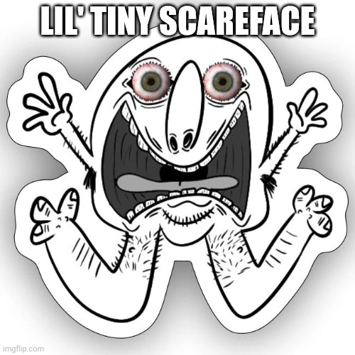 Lil' Tiny Scareface | LIL' TINY SCAREFACE | image tagged in funny memes | made w/ Imgflip meme maker