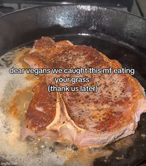 Vegan brain buster 2# | image tagged in fr,we helped you | made w/ Imgflip meme maker