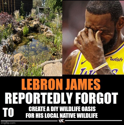 Lebron James Reportedly forgot to | CREATE A DIY WILDLIFE OASIS FOR HIS LOCAL NATIVE WILDLIFE | image tagged in lebron james reportedly forgot to,memes,animal meme,relatable memes,funny,lol so funny | made w/ Imgflip meme maker