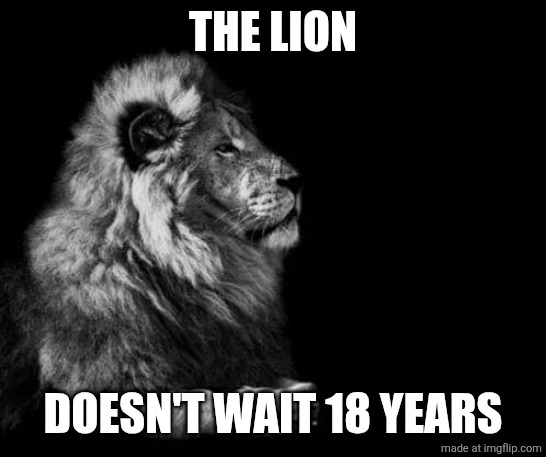 the lion.. | THE LION; DOESN'T WAIT 18 YEARS | image tagged in the lion | made w/ Imgflip meme maker