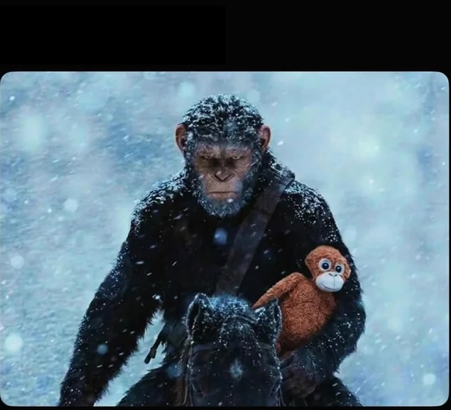 future punch Blank Meme Template