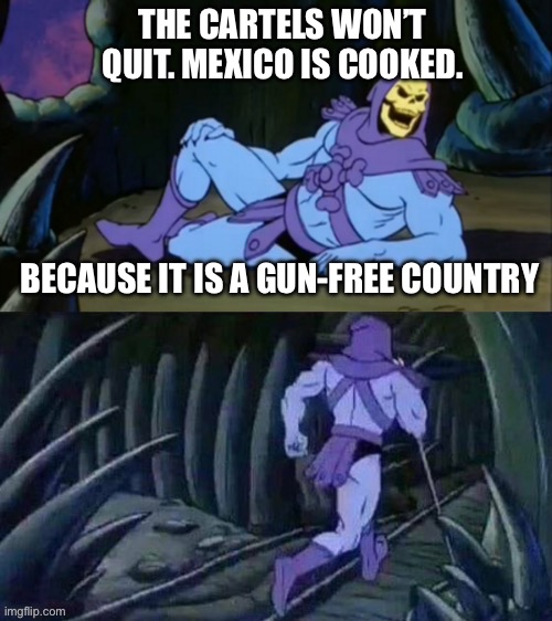 It’s too bad that people in Mexico cannot defend themselves from violent criminals. | THE CARTELS WON’T QUIT. MEXICO IS COOKED. BECAUSE IT IS A GUN-FREE COUNTRY | image tagged in skeletor disturbing facts,mexico,gun free,cartels | made w/ Imgflip meme maker